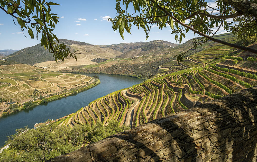 Douro Valley is also a good idea for a destination wedding in Portugal